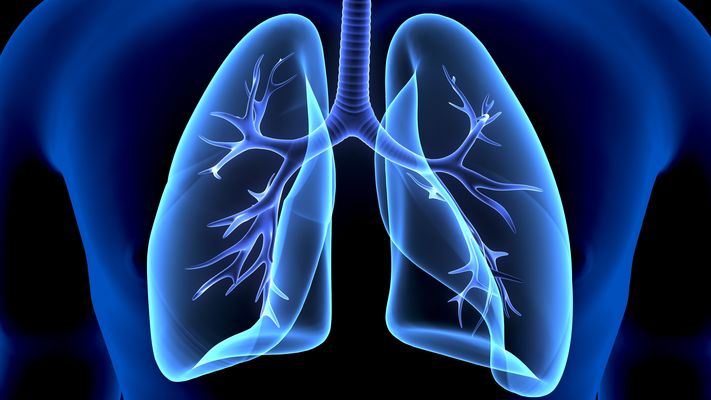 lungs breath health power