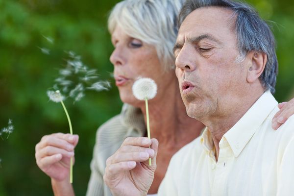 Couple Dandelions Breath