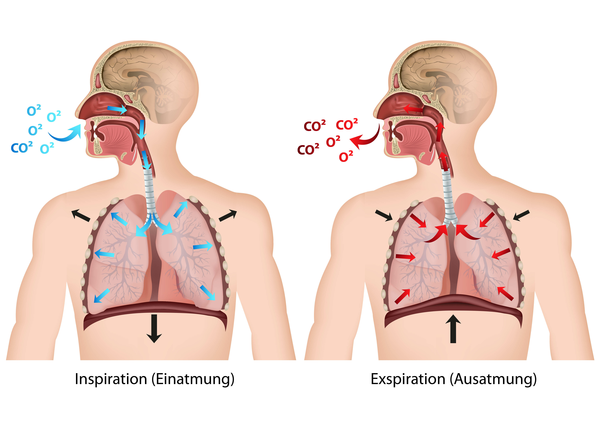 Bewusstes Atmen