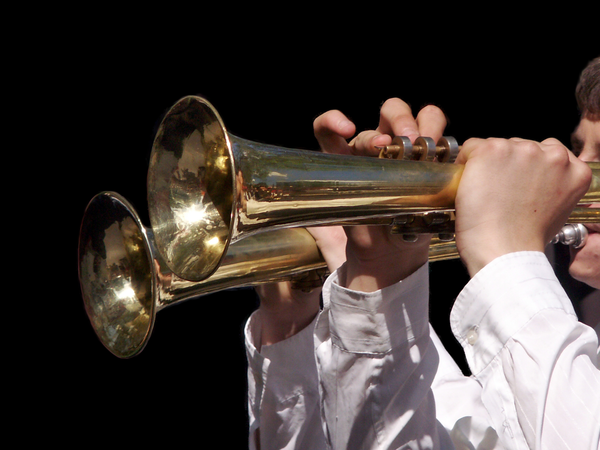 Lektionen zur Atemlehre: Atem, Ton und Schwingung