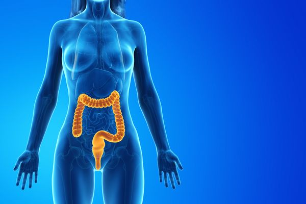 wundervolle darmbäder Darm Darmbäder Darmspülungen Immunsystem