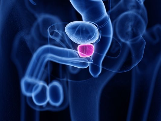 prostata schrumpft wieder Prostata Darmbäder Natron Natronkur Weinstein Weinsteinkur Entsäuerung Sitzbäder