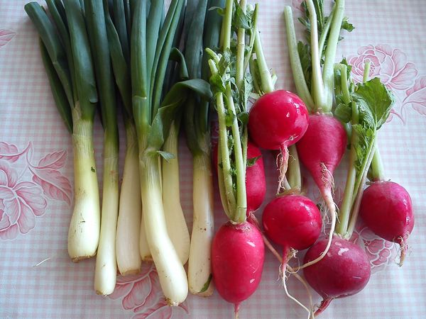 2015 04 30 14 06 13 600p