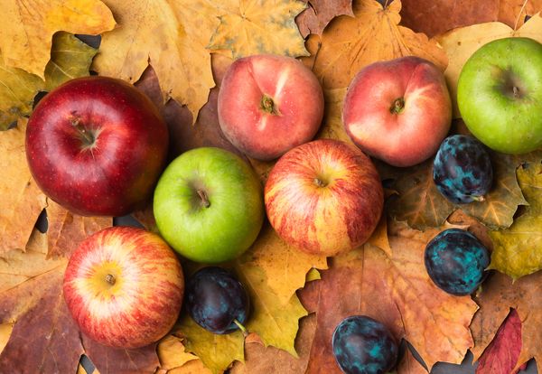 Autumn Leaves Apples Plums Peaches
