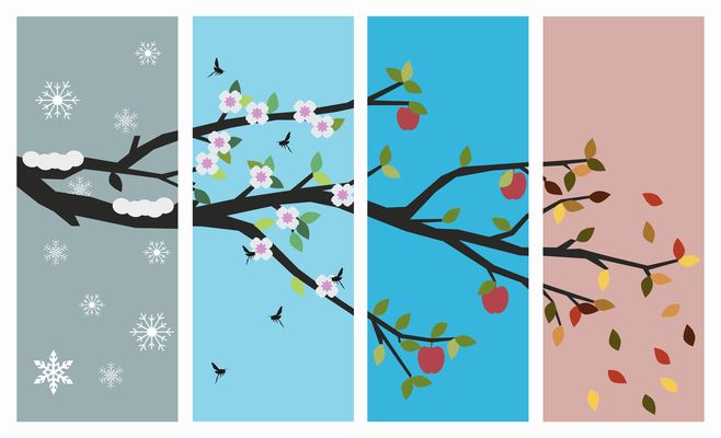 seasons winter spring summer autumn tree branches
