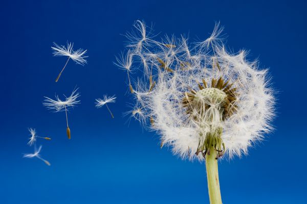 AdobeStock 7658009 klein