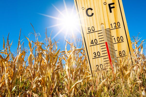 Sonne – Sommerhitze