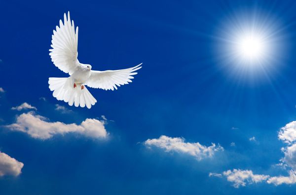 Peace
