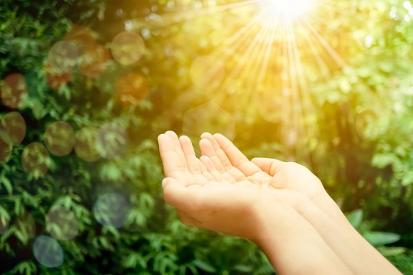 Hände Sonne Natur Dankbarkeit Einfachheit grün