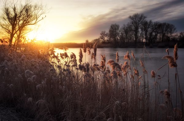 Sonnenaufgang Winter See Bäume