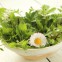 Bitter macht Freude und hält gesund! Wie Bitterstoffe auf Leber, Galle und Bauchspeicheldrüse wirken Bitter macht Freude und hält gesund! Wie Bitterstoffe auf Leber, Galle und Bauchspeicheldrüse wirken