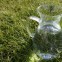 Wasser – tot oder lebendig? Wasser – tot oder lebendig?