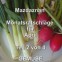Monatsratschläge - April Teil 2 (mit Video) Monatsratschläge - April Teil 2 (mit Video)