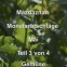 Monatsratschläge - Mai Teil 3 (mit Video) Monatsratschläge - Mai Teil 3 (mit Video)
